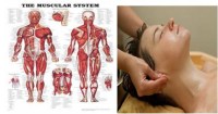 Massage education_