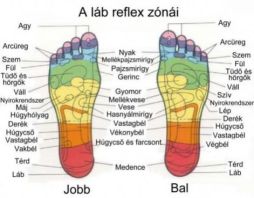 reflexologia