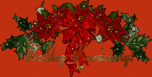 Karácsonyi üdv lap